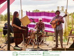 Festival Mar de Tethys 2026 - Bodega Vetas